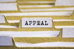 IRS-Audit-Appeal File